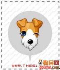 啸天犬图片,守护家园的忠诚伙伴