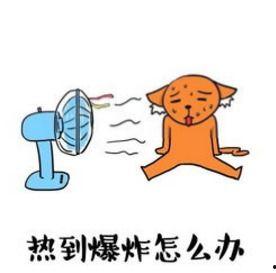 热天的照片,光影交织的夏日记忆